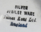 Mug King George V England Silver Jubilee Queen Mary 1935 James Kent Lovely Graphics