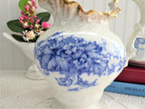 Edwardian Iona Blue Transferware Pitcher Jug Ewer Blue And White E Wedgwood