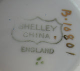 Shelley England Milton Shape Cup Saucer And Plate Roses Stripes 1915