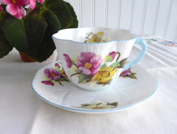 Shelley Begonia Cup and Saucer Dainty Shape Blue Trim 1950s Teacup