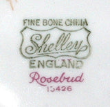 Shelley China Dainty Rosebud Cup and Saucer England Aqua Trim 1950s