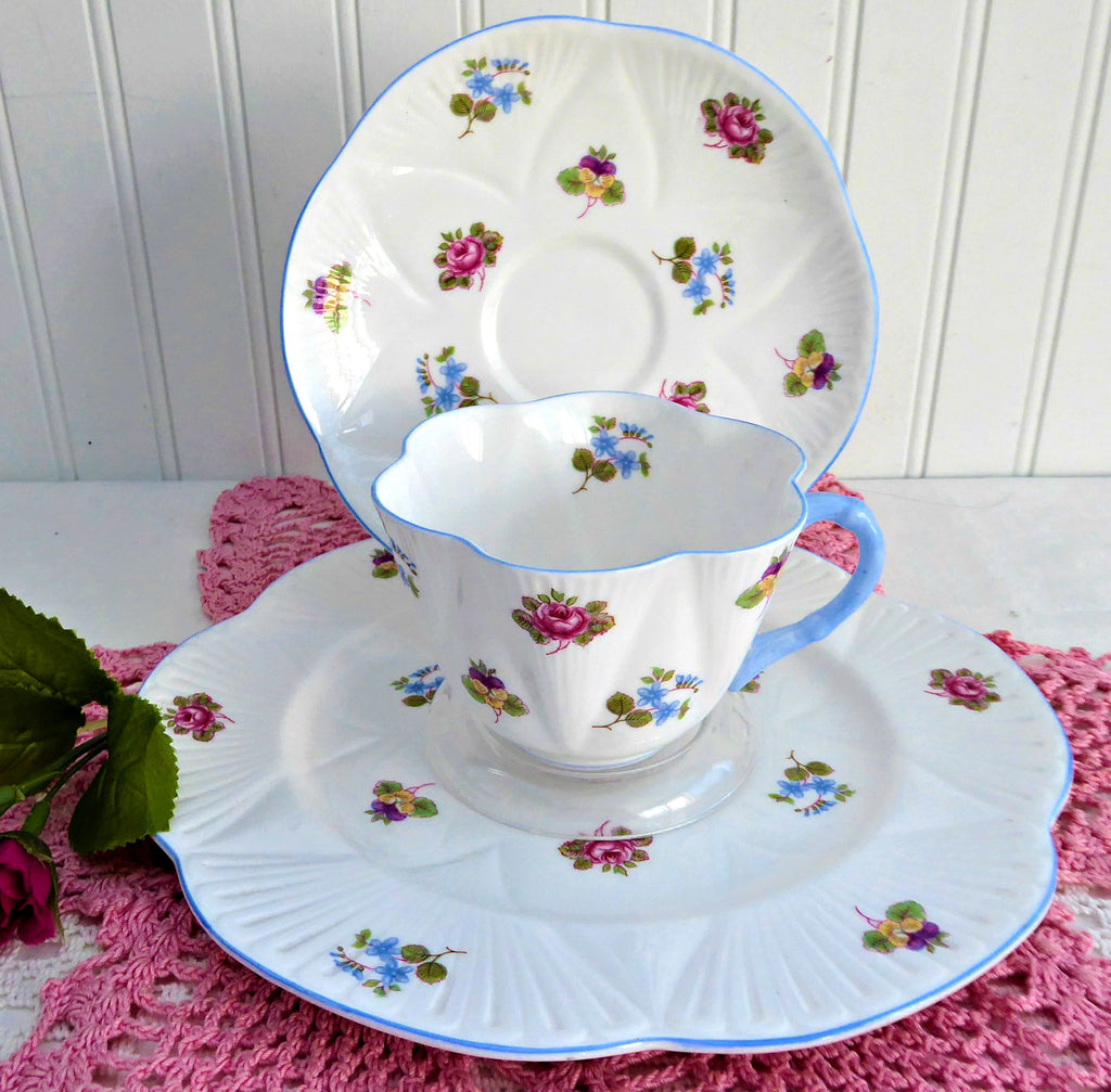 Cup and Saucer With Plate Shelley Dainty Rose Pansy Forget Me 