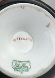 Shelley English Rose Cup And Saucer Gainsborough Black Exterior