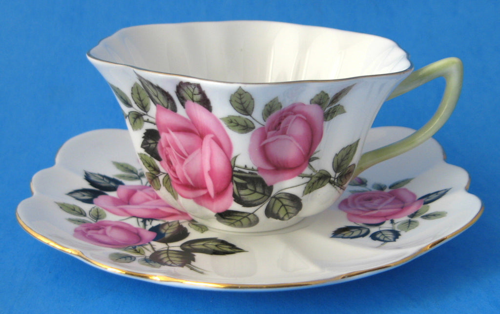 Shelley hotsell tea cup