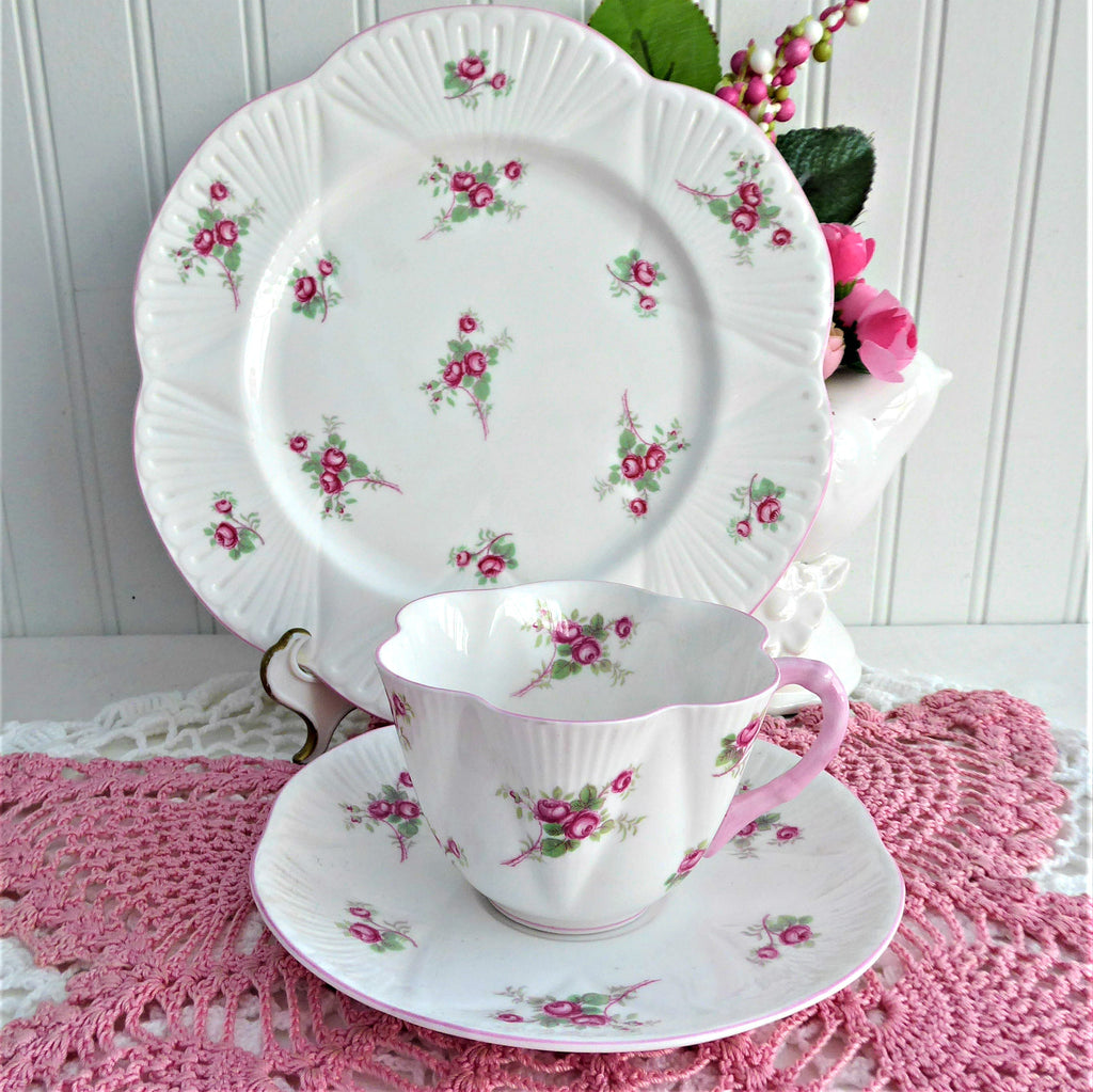 Shelley Dainty Bridal Rose Teacup Trio Cup And Saucer Matching