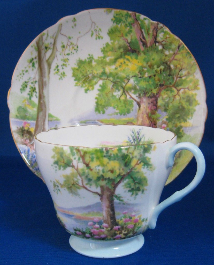 Shelley English Lakes Cup and Saucer England Landscape Richmond 1950s –  Antiques And Teacups