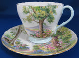 Shelley England Cup and Saucer Woodland Richmond Shape Forest Scene