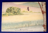 Tea Card Album PG Tips Tea A Journey Downstream Album Only Trading Card Album