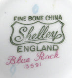 Shelley Cup And Saucer With Plate Blue Rock Ludlow Blue Trim Blue And White