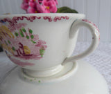 Cup And Saucer Early Regout Dutch Polychrome Transferware 1860s