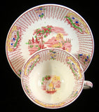 Cup And Saucer Early Regout Dutch Polychrome Transferware 1860s