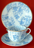 Antique Teacup Trio Worcester Grainger Floral Seaweed Mid Victorian Era