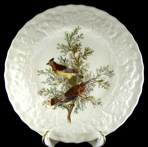 Cedar Bird Plate Audubon Luncheon Meakin England 1920s Garden Bird
