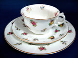 Adderleys Cup And Saucer wWith Plate Spray 96 Roses Pansy Chintz 1910s