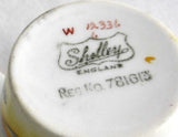 Shelley Art Deco Cup And Saucer Lakeland Landscape Regent Shape Yellow 1930s