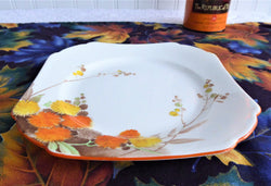 Shelley England Acacia Art Deco Plate Square Salad 1930s Hand Colored