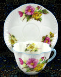 Shelley Begonia Cup and Saucer Dainty Shape Blue Trim 1950s Teacup