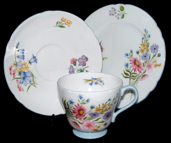 Shelley Wild Flowers Trio Teacup Saucer Plate Richmond Shape 1950s Blue Trim