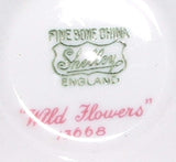 Shelley Wild Flowers Trio Teacup Saucer Plate Richmond Shape 1950s Blue Trim