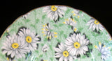 Shelley Daisies Chintz Cup And Saucer Green Ripon Shape 1950s Green Daisy