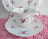 Shelley Dainty Bridal Rose Teacup Trio Cup And Saucer Matching Plate 1950s