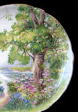 Shelley China Woodland Cup And Saucer New Cambridge