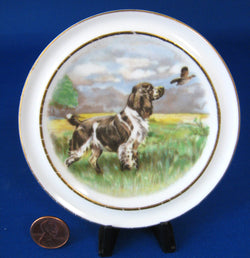 Dog Pin Dish English Bone China Springer Spaniel Sweet 1950s Plate