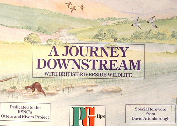 Tea Card Album PG Tips Tea A Journey Downstream Album Only Trading Card Album