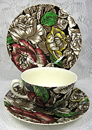 Myott Bermuda Chintz Cupa And Saucer With Matching Plate 1930s (Image1)