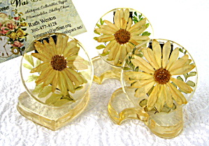 Retro Place Card Holders 3 Lucite Daisies Ferns (Image1)