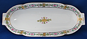 Nippon Celery Dish Hand Painted Roses Porcelain (Image1)