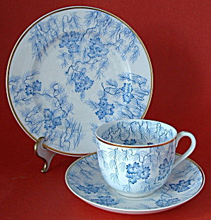 Antique Teacup Trio Worcester Grainger Floral Sea Weed (Image1)