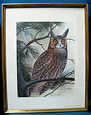 Print John Ruthven Long Eared Owl Framed Double Signed (Image1)