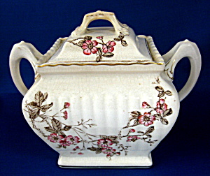 Antique English Sucrier Sugar Box Tea Caddy Transferwar (Image1)