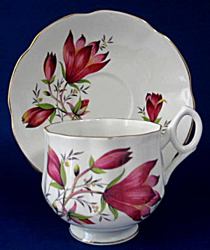 Cup and Saucer Rosina Burgundy Crocus Flowers Bone China (Image1)