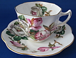 Rosina Cup And Saucer Pink White Camellias England