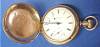 Click here to enlarge image and see more about item 4551: Pocketwatch Elgin 14kt Gold Hunter Bird Fancy
