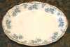 Click here to enlarge image and see more about item 4683: Transferware Platter Staffordshire England Victorian