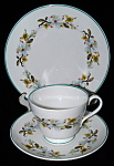 Shelley England Teacup Trio Bailey's Dogwood Windsor