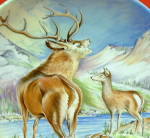 Click to view larger image of Crown Staffordshire Christmas Plate 1979 Monarch Deer (Image2)