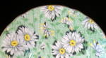 Click to view larger image of Shelley Green Daisy Chintz Ripon Cup and Saucer England (Image3)