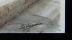 Click to view larger image of Postcard Signed Artist Delane Watercolor Paris Eiffel T (Image2)
