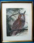 Print John Ruthven Long Eared Owl Framed Double Signed