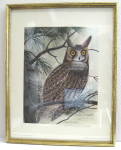 Click to view larger image of Print John Ruthven Long Eared Owl Framed Double Signed (Image4)