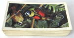 Tea Card Set Tropical Birds Brooke Bond P G Tips