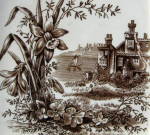 Click to view larger image of Grindley Daffodil Brown Transferware Square Plate 1882 (Image2)