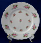 Shelley Salad Plate Roses FMNs Combo English Bone China