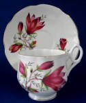Cup and Saucer Rosina Burgundy Crocus Flowers Bone China
